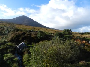 Croagh Patrick, Co. Mayo
